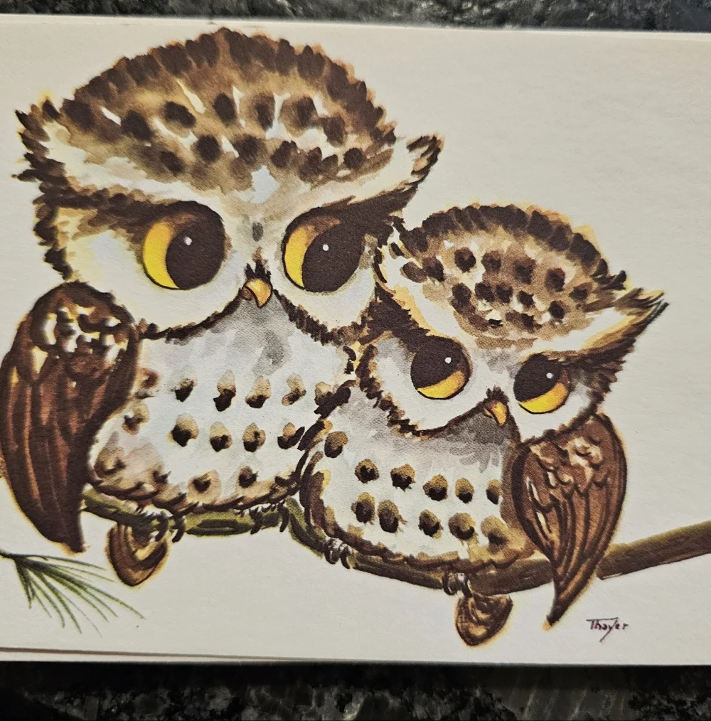 Vtg Thayer Kitschy Owls Big Eyes 16 Post Cards Picture Art 70's MCM Maine USA‎
